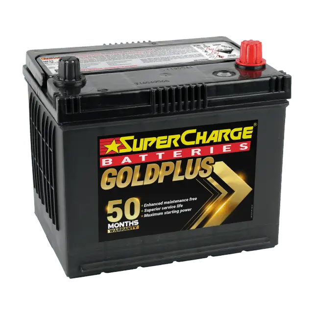 GoldPlus MF53