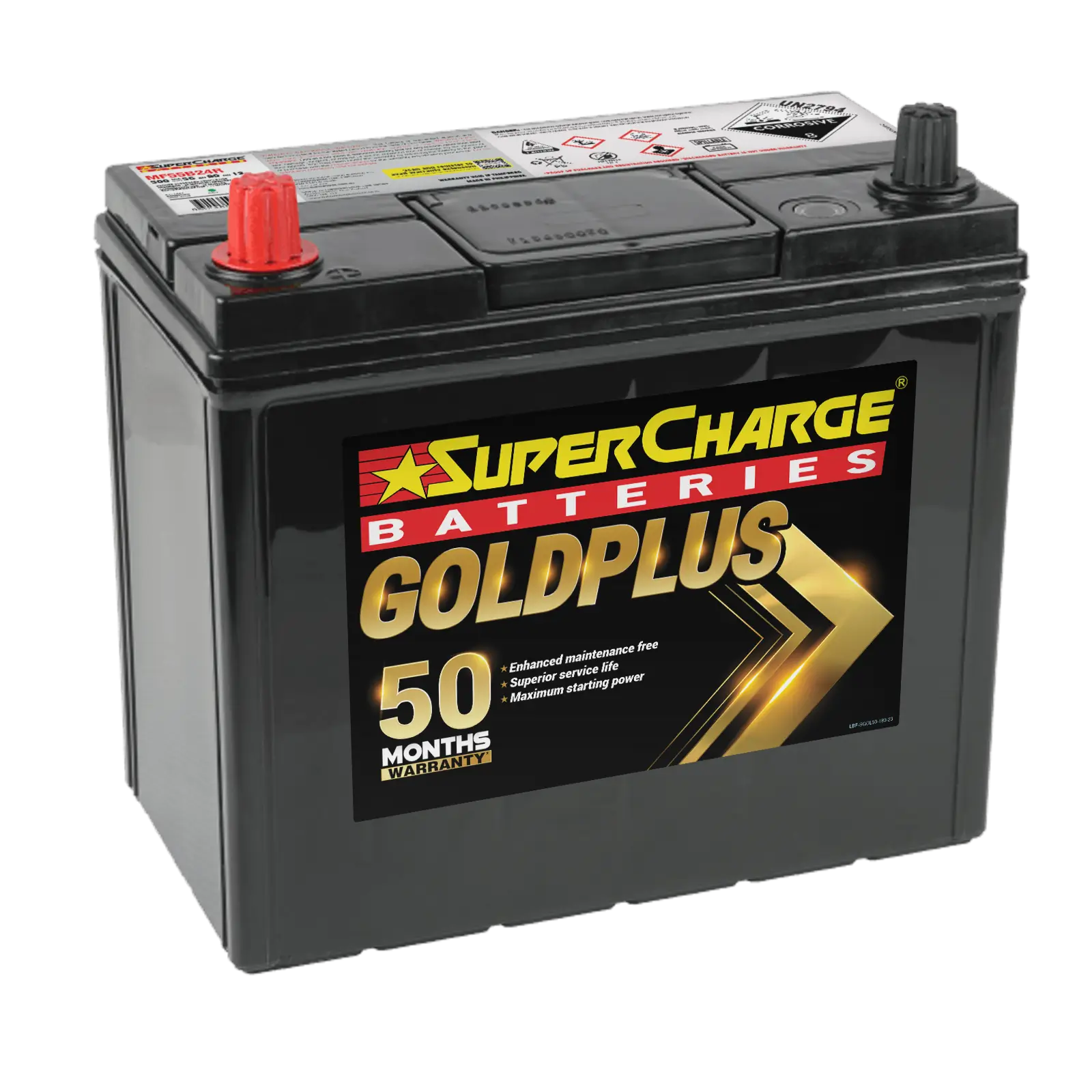 GoldPlus MF55B24R