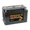 GoldPlus MF66