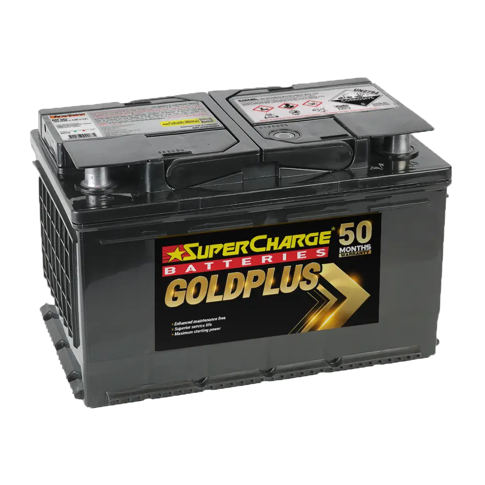 GoldPlus MF66