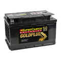 GoldPlus MF66R