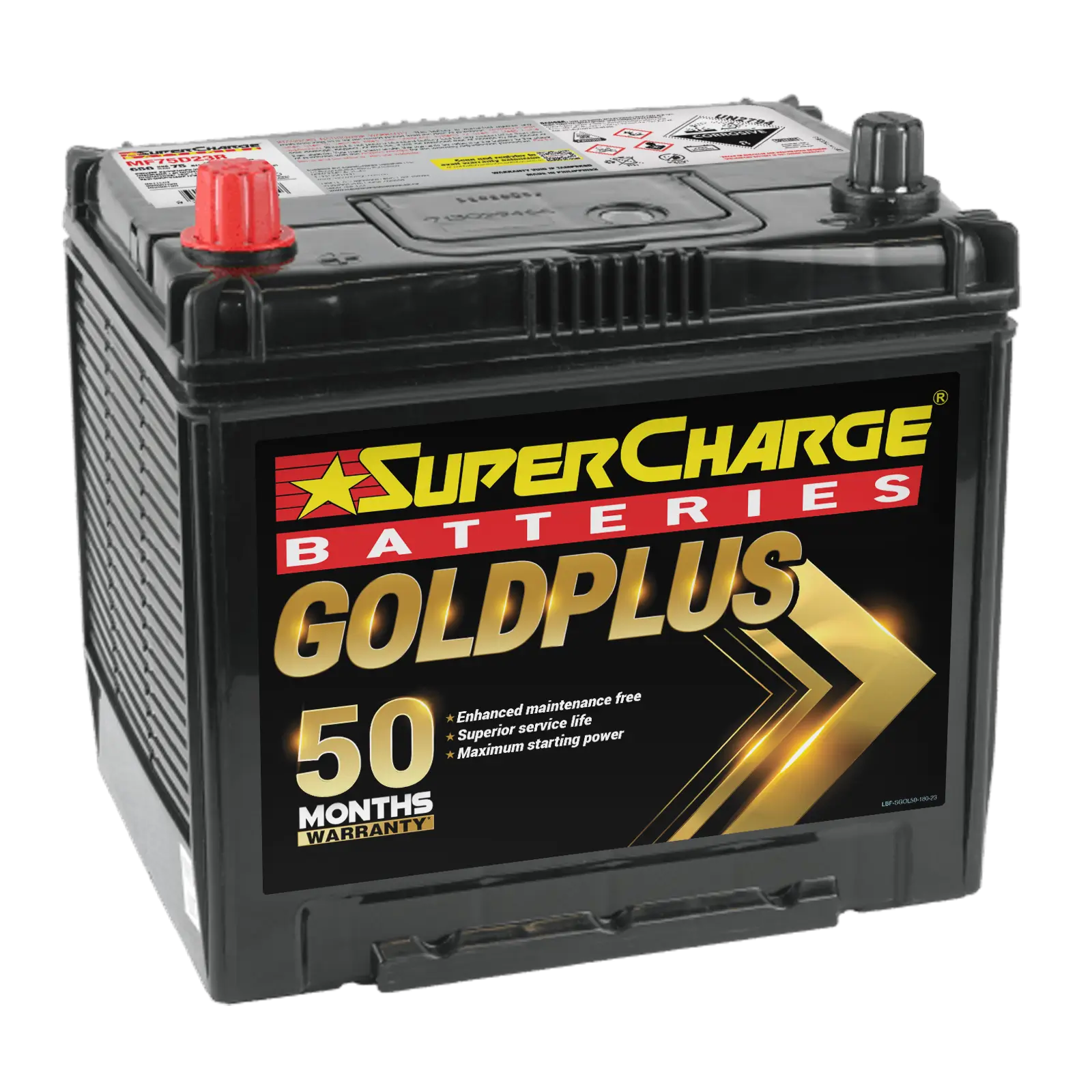 GoldPlus MF75D23R